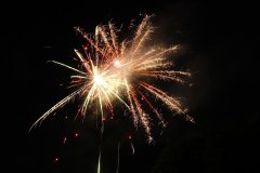 t_IMG_5395.jpg